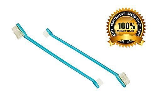 Dog teeth cleaning with Two Dual Double Headed Toothbrushes