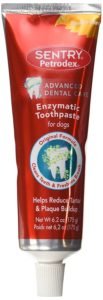 Dog teeth cleaning with Petrodex Enzymatic Toothpaste