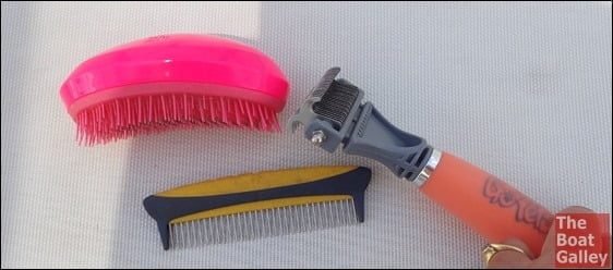 Equipment for DIY Dog grooming