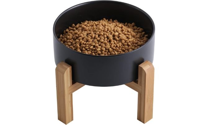 Addogyy Black Elevated Ceramic Dog Bowl