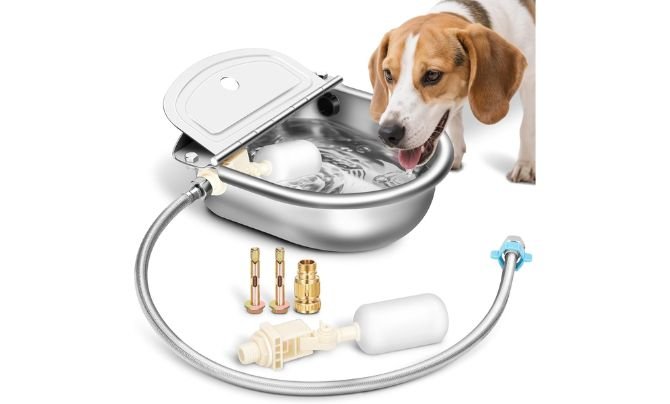 Ademon Automatic Animal Drinking Water Bowl with Float Valve