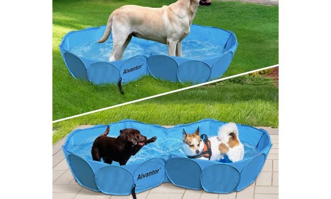 Alvantor Pet Double Swimming Pool – Best Lightweight Collapsible Dog Pool for Travel