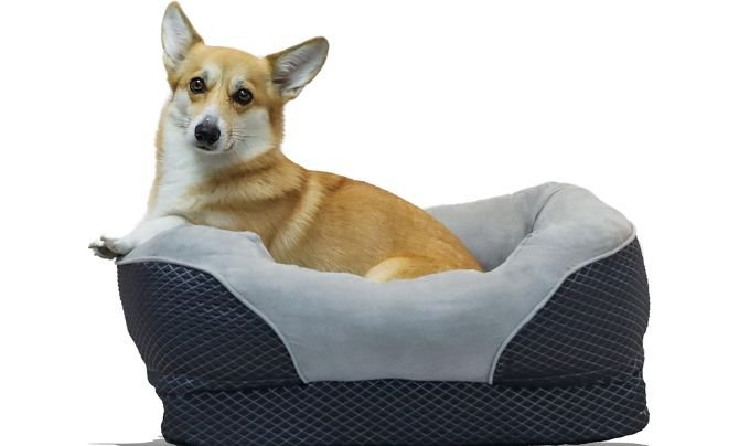 BarksBar Snuggly Sleeper Orthopedic (Small)