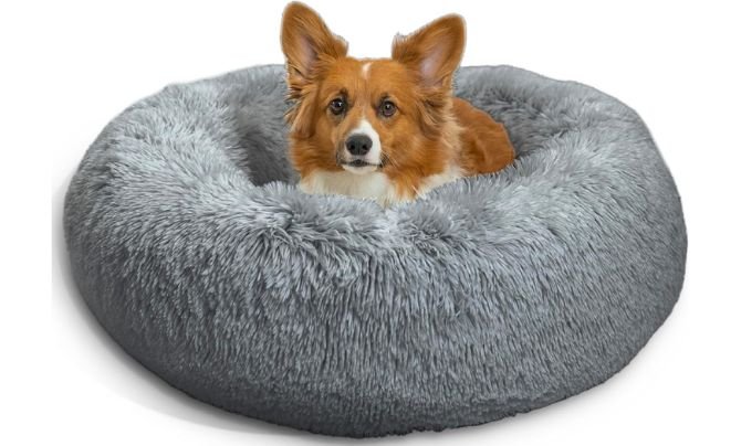 Best Soft Dog Beds - Best Friends by Sheri Original Calming Donut Dog, Cat Bed