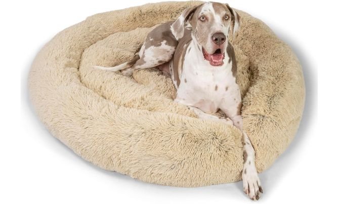 Best Friends by Sheri Original Calming Donut Dog and Cat Bed - Best Dog Beds Made in USA