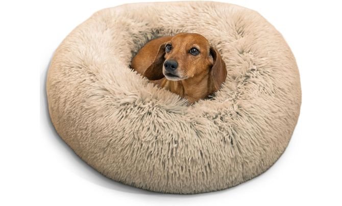 Best Friends by Sheri “Original Calming Donut”