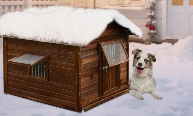COUNER 4XL Outdoor Dog House
