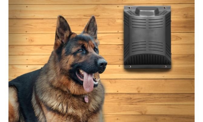Climate Right 300W Electric Dog House Heater