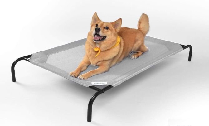 Coolaroo Original Elevated Dog Bed Review