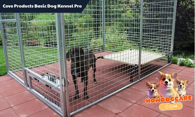 Cove Products Basic Dog Kennel Pro Review