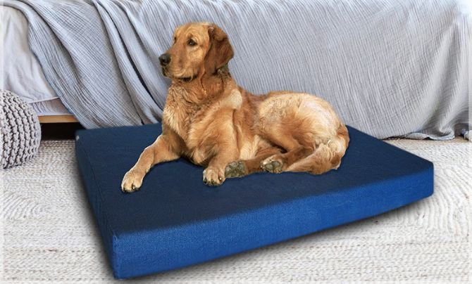 Dogbed4less Large Orthopedic Memory Foam Dog Bed