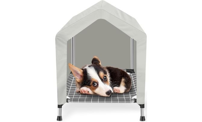 Dopliv Elevated Dog House Review