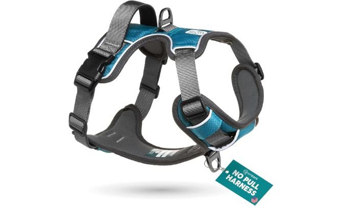 Embark Adventure Dog Harness – Best Adventure Harness for Large Dogs in 2026