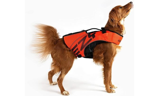 EzyDog DFD X2 Dog Life Jacket Review