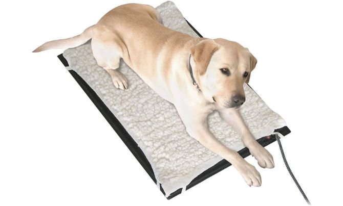 Farm Innovators HM-80M Heated Pet Mat