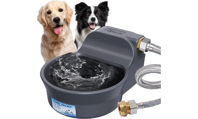Ficuswin 67oz Automatic Dog Water Dispenser