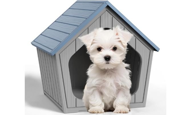 GYMHILL Indoor Outdoor Dog House Review
