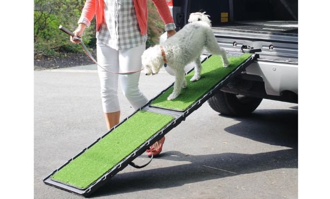 Gen7Pets Natural Step Ramp Review