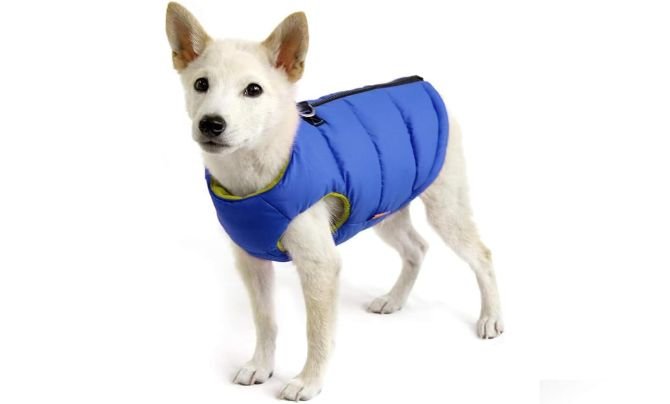 Gooby Padded Vest Dog Jacket Review