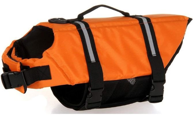 HAOCOO Dog Life Jacket Vest Review