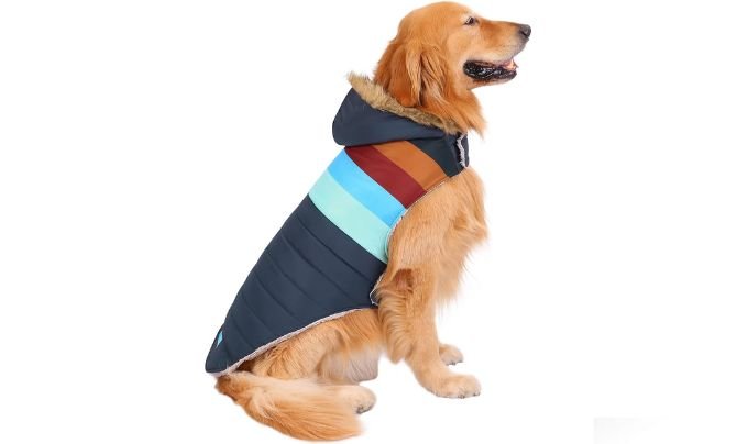 HDE Dog Puffer Jacket Review – Best Retro-Style Winter Coat for Large Dogs