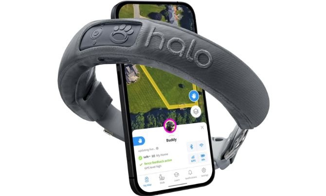 Halo Collar 3 Review