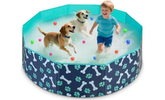 HaoVrisn Foldable Dog Pool