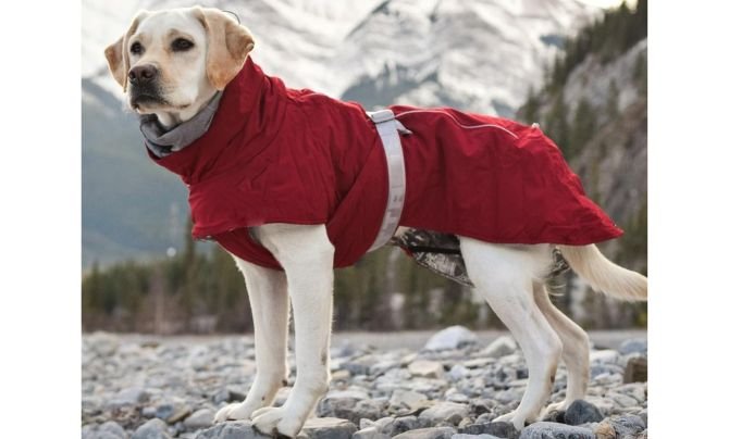 Hurtta Extreme Warmer 2 Review – Best Heavy-Duty Winter Dog Coat for Extreme Cold