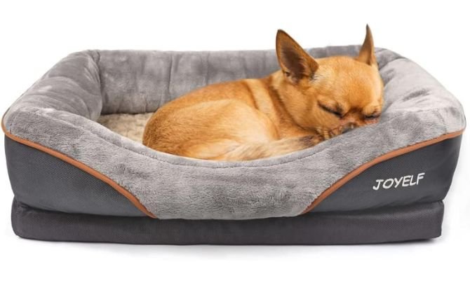 JOYELF Small Orthopedic Memory Foam Bed