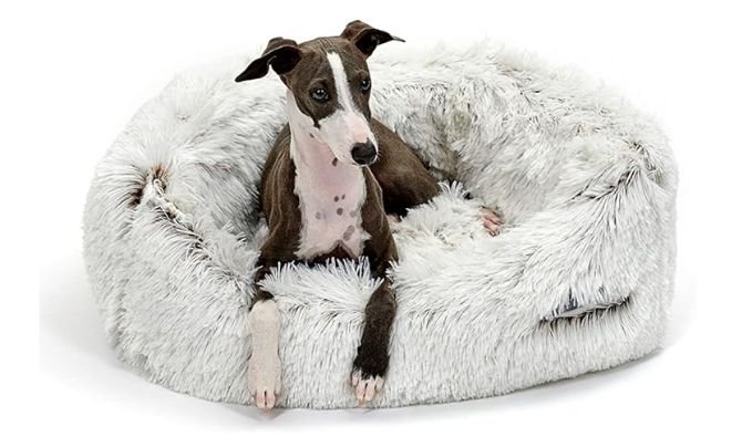 Jax & Bones Dog Napper