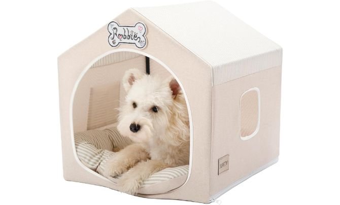 Jiupety Indoor Dog Tent House Review: Best Small Dog House for Indoor Comfort and Style