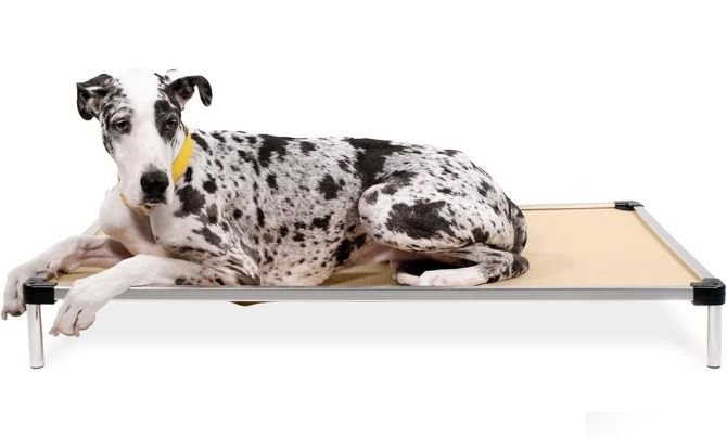 K9 Ballistics Chew Proof Elevated Cooling Dog Bed Review