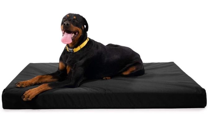 K9 Ballistics Tough Ripstop Orthopedic Rectangle Dog Bed
