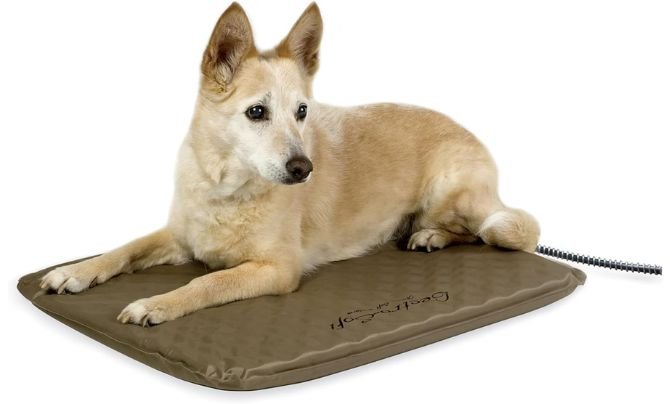 K&H Pet Products Lectro-Soft Orthopedic Outdoor Heated Bed Review