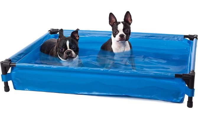 K&H Pet Products Portable Dog Pool