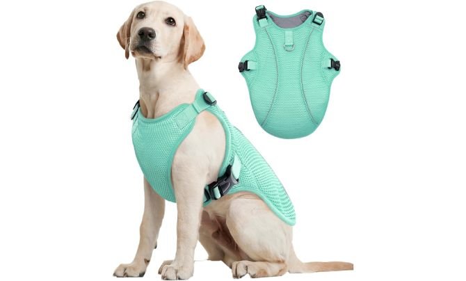 Kuoser Dog Cooling Vest Harness – Best Cooling Vest for Large Active Dogs on a Budget