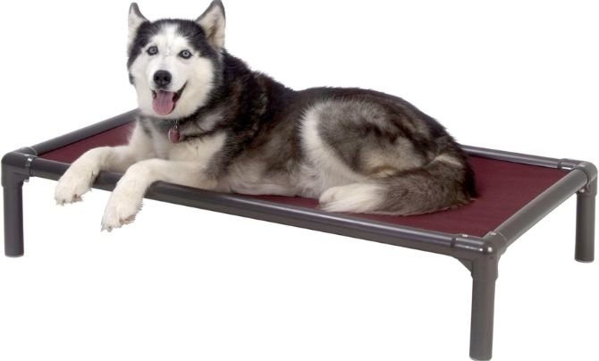 Kuranda Chewproof Dog Bed