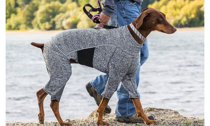 Kurgo Dog Onesie Body Warmer Review