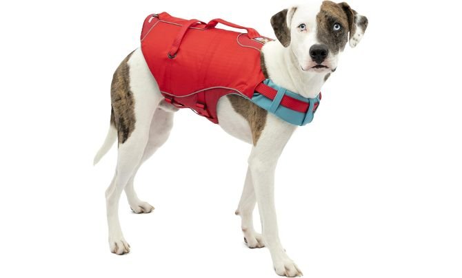 Kurgo Surf n’ Turf Dog Life Jacket Review