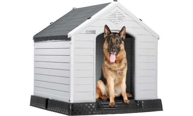 LEMBERI Plastic Dog House Review