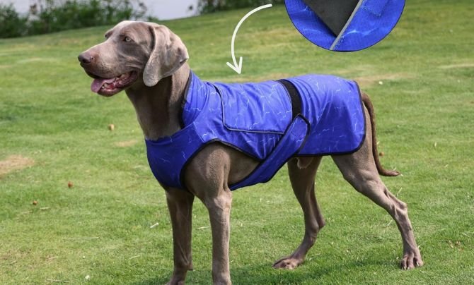 LUCOLOVE Dog Cooling Vest with Ice Pack