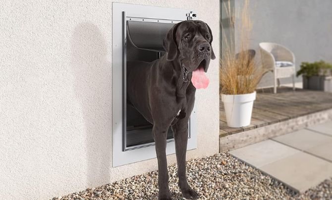 Manual Flap dog Door