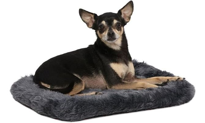 MidWest Homes for Pets Bolster Bed (24L)
