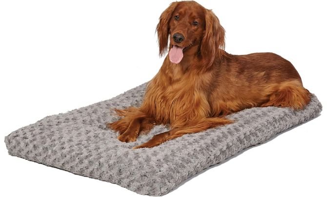 MidWest Homes for Pets Large QuietTime Deluxe Ombré Swirl Plush Pet Bed