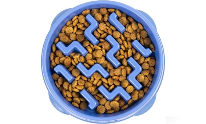 Outward Hound Fun Feeder Slo Bowl (Medium, 2 Cups) Review