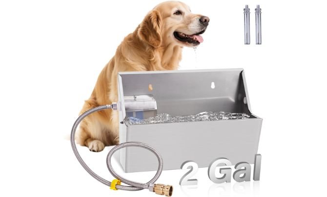 PAUQEWIE 2-Gallon Automatic Dog Water Bowl Dispenser