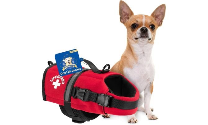 Paws Aboard Dog Life Jacket Review