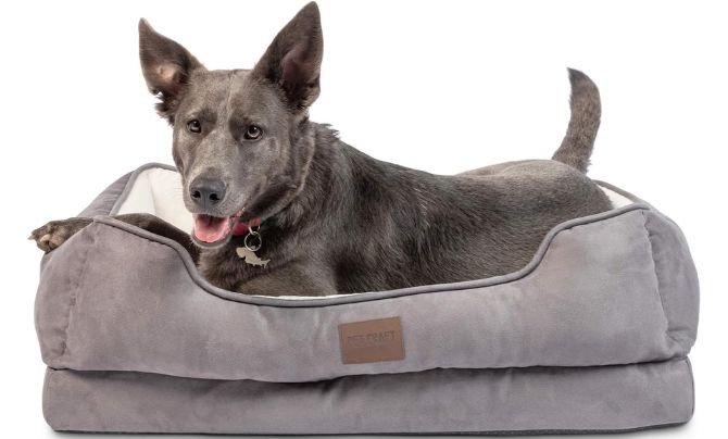Pet Craft Supply Premium Orthopedic Lounger Dog Bed