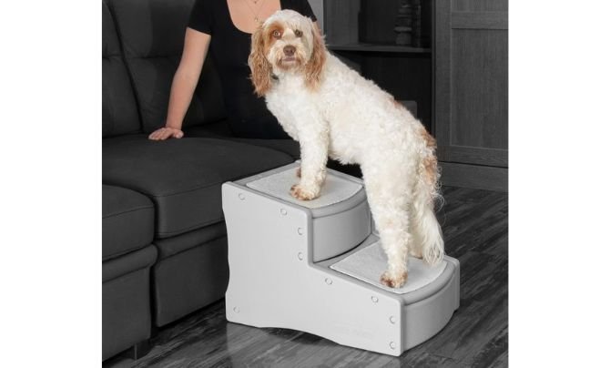 Pet Gear Easy Step II Extra Wide Pet Stairs Review