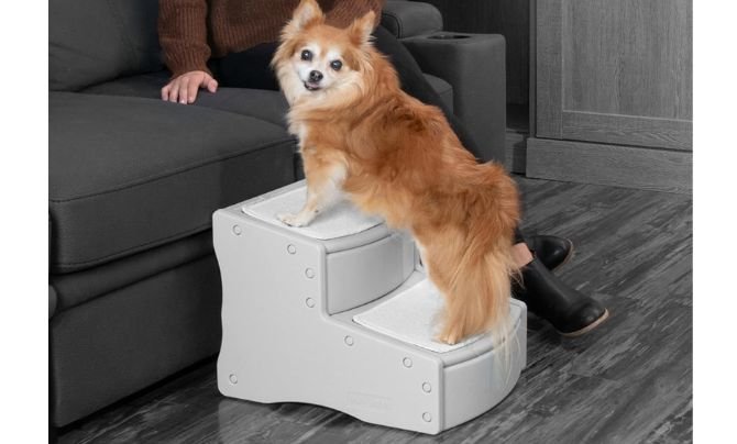 Pet Gear Easy Step II